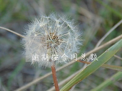 逾期按合同总额 逾期按合同总额