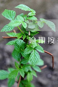 逾期按多少收取违约金 逾期按多少收取违约金