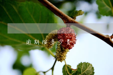 逾期按多少费用 逾期按多少费用