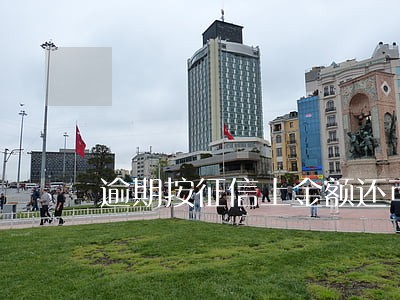 逾期按征信上金额还可以吗 逾期按征信上金额还可以吗