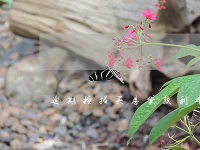 逾期按揭买房贷款利率 逾期按揭买房贷款利率