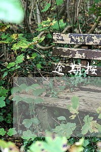 逾期按揭办不下来 逾期按揭办不下来