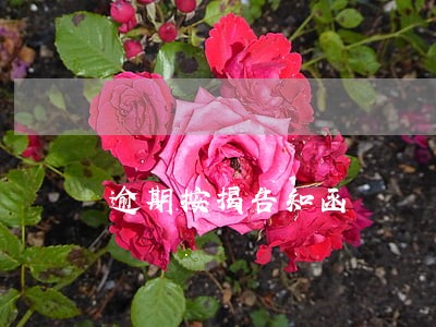 逾期按揭告知函 逾期按揭告知函