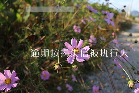 逾期按揭失信被执行人 逾期按揭失信被执行人