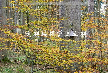 逾期按揭贷款五期 逾期按揭贷款五期
