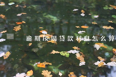 逾期按揭贷款利息怎么算的 逾期按揭贷款利息怎么算的