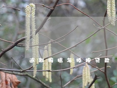 逾期按揭车抵押贷款 逾期按揭车抵押贷款