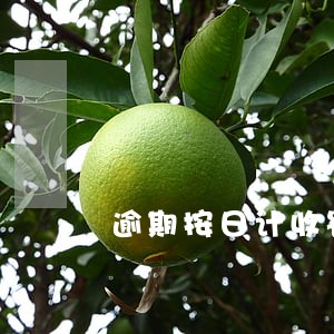 逾期按日计收罚息 逾期按日计收罚息