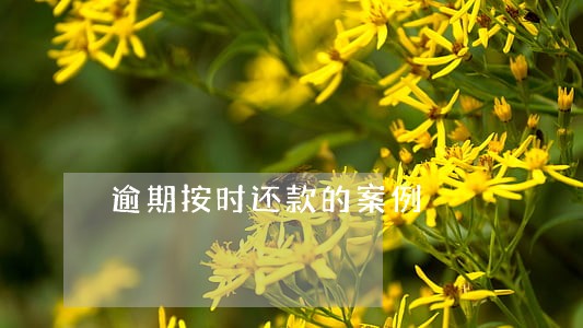逾期按时还款的案例 逾期按时还款的案例