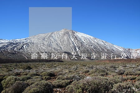 逾期按有关规定进行处理 逾期按有关规定进行处理
