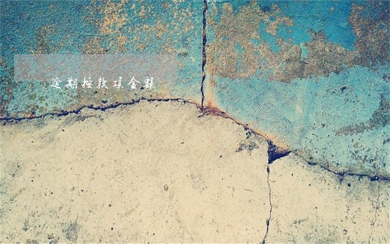 逾期按款项金额 逾期按款项金额