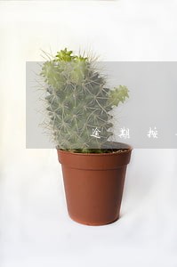 逾期按每日千分之三收取利息合同 逾期按每日千分之三收取利息合同
