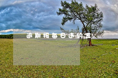 逾期按每日违约金 逾期按每日违约金