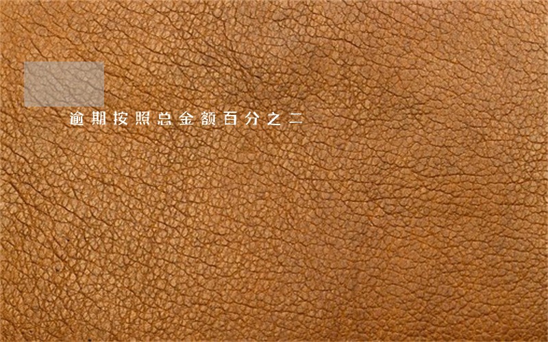 逾期按照总金额百分之二