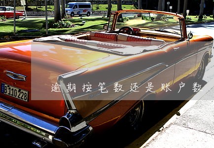 逾期按笔数还是账户数 逾期按笔数还是账户数