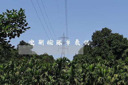 逾期按账单最低