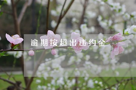 逾期按超出违约金 逾期按超出违约金
