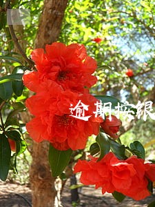 逾期按银行利率四倍 逾期按银行利率四倍