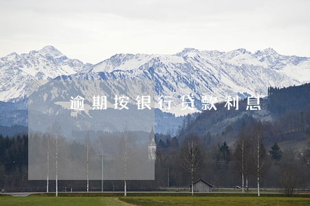 逾期按银行贷款利息 逾期按银行贷款利息