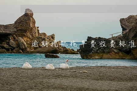 逾期挖机拖车费收费标准 逾期挖机拖车费收费标准