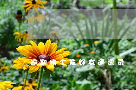 逾期挨个发好友通讯录 逾期挨个发好友通讯录