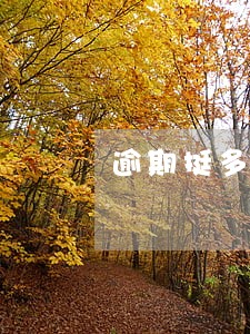 逾期挺多能不能贷款了 逾期挺多能不能贷款了