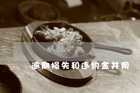 逾期损失和违约金并用 逾期损失和违约金并用