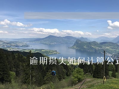 逾期损失如何计算公式 逾期损失如何计算公式