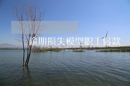 逾期损失模型职工借款 逾期损失模型职工借款