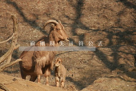 逾期损失计算公式 逾期损失计算公式