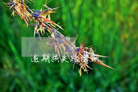 逾期损失赔偿额 逾期损失赔偿额