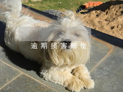 逾期损害赔偿 逾期损害赔偿