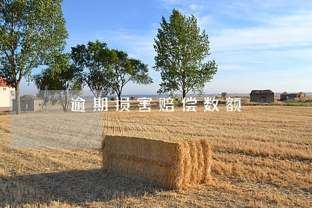 逾期损害赔偿数额 逾期损害赔偿数额