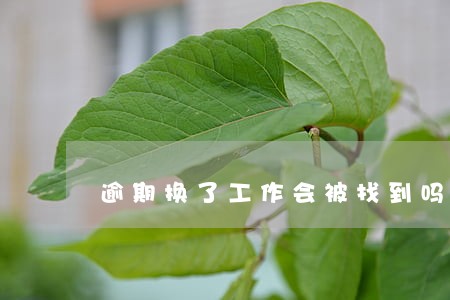 逾期换了工作会被找到吗 逾期换了工作会被找到吗