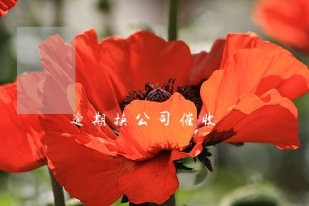 逾期换公司催收 逾期换公司催收