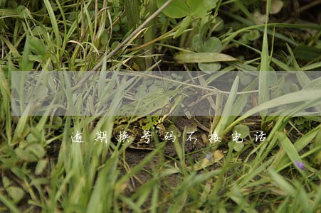 逾期换号码不接电话 逾期换号码不接电话