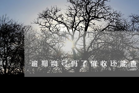 逾期换号码了催收还能查到吗 逾期换号码了催收还能查到吗