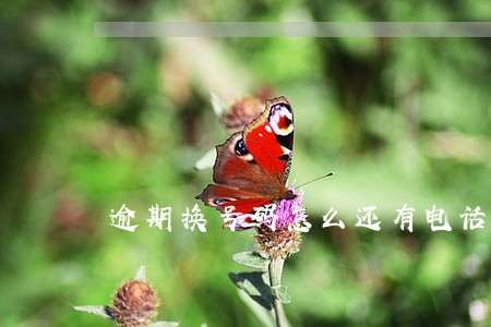 逾期换号码怎么还有电话打来 逾期换号码怎么还有电话打来