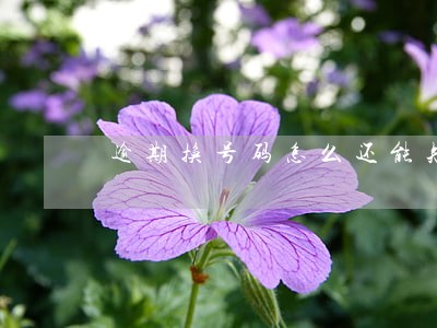逾期换号码怎么还能知道通讯录吗 逾期换号码怎么还能知道通讯录吗