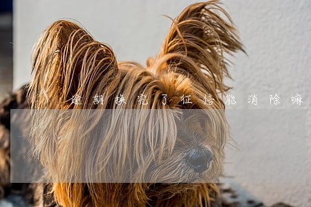逾期换完了征信能消除嘛