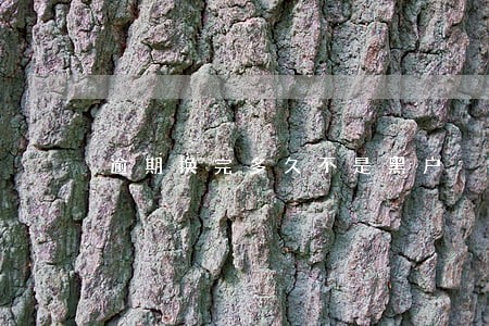 逾期换完多久不是黑户 逾期换完多久不是黑户