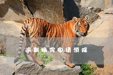 逾期换完申请消除 逾期换完申请消除