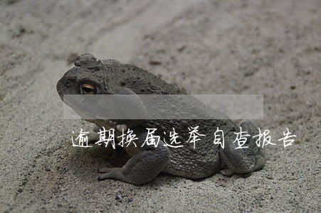 逾期换届选举自查报告 逾期换届选举自查报告