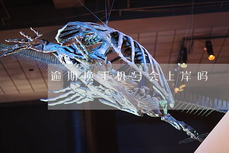 逾期换手机号会上岸吗 逾期换手机号会上岸吗