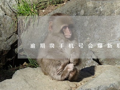 逾期换手机号会爆新联系人吗 逾期换手机号会爆新联系人吗