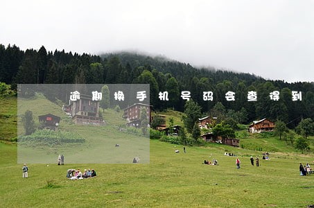 逾期换手机号码会查得到吗