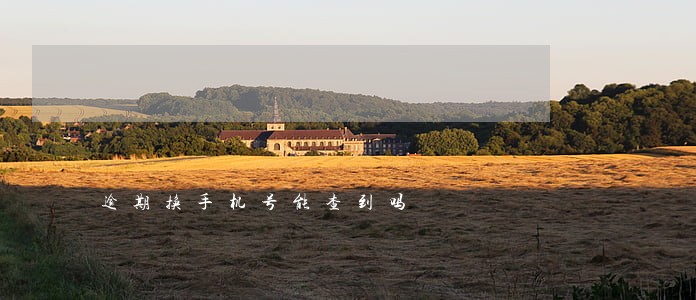 逾期换手机号能查到吗
