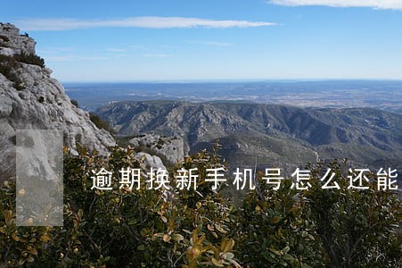 逾期换新手机号怎么还能联系 逾期换新手机号怎么还能联系