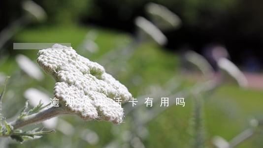 逾期换电话卡有用吗 逾期换电话卡有用吗