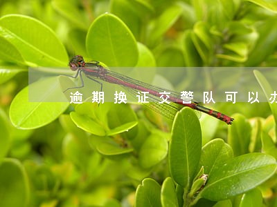 逾期换证交警队可以办理不 逾期换证交警队可以办理不